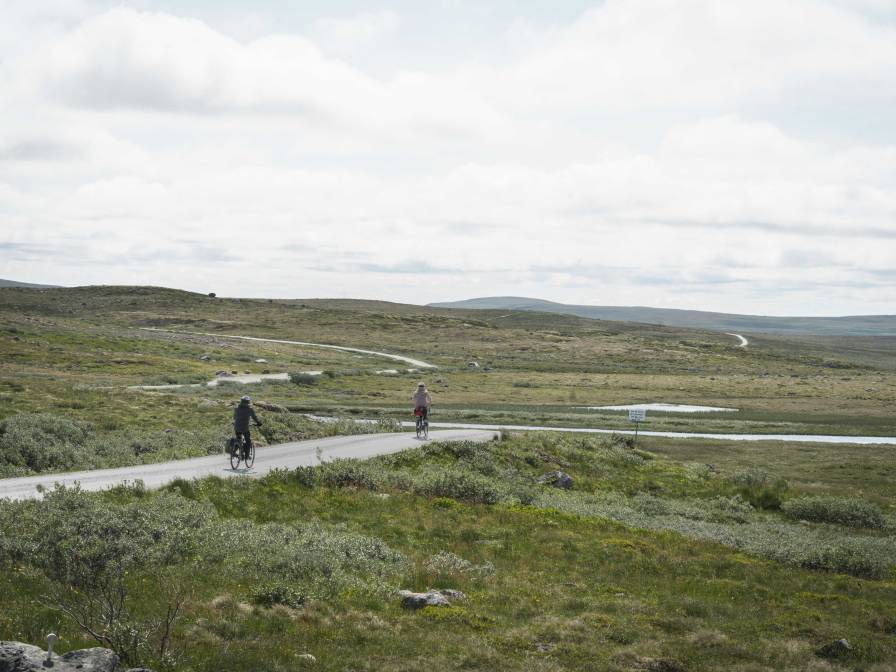 Tinnhølvegen 1 av Heidi Kvamsdal